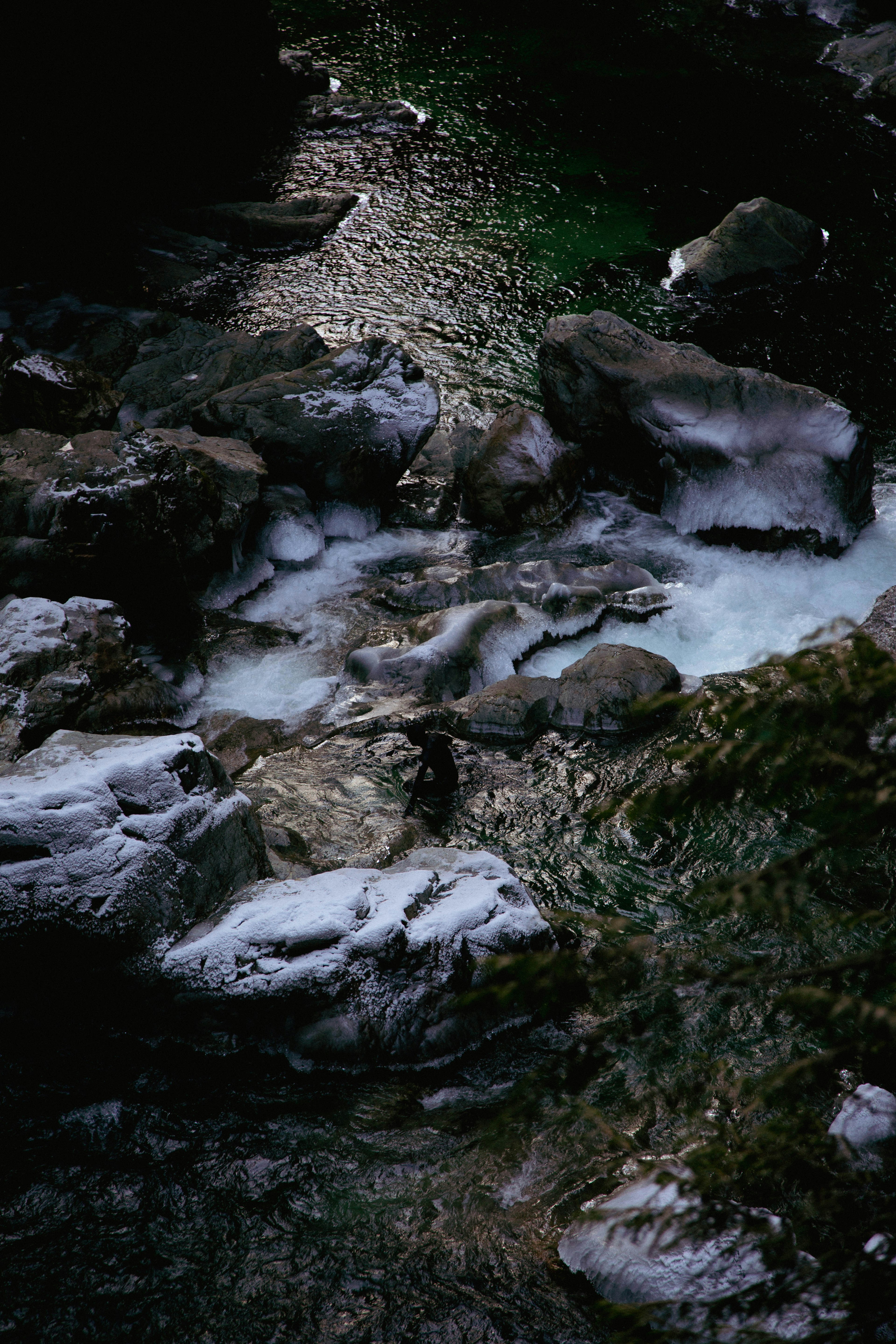 a stream of water running through a lush green forest