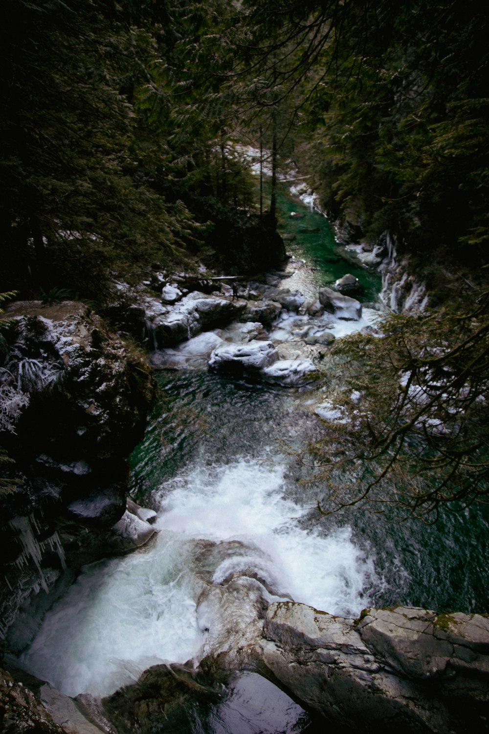 a river running through a lush green forest