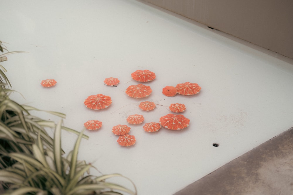 a bunch of oranges are on a cutting board