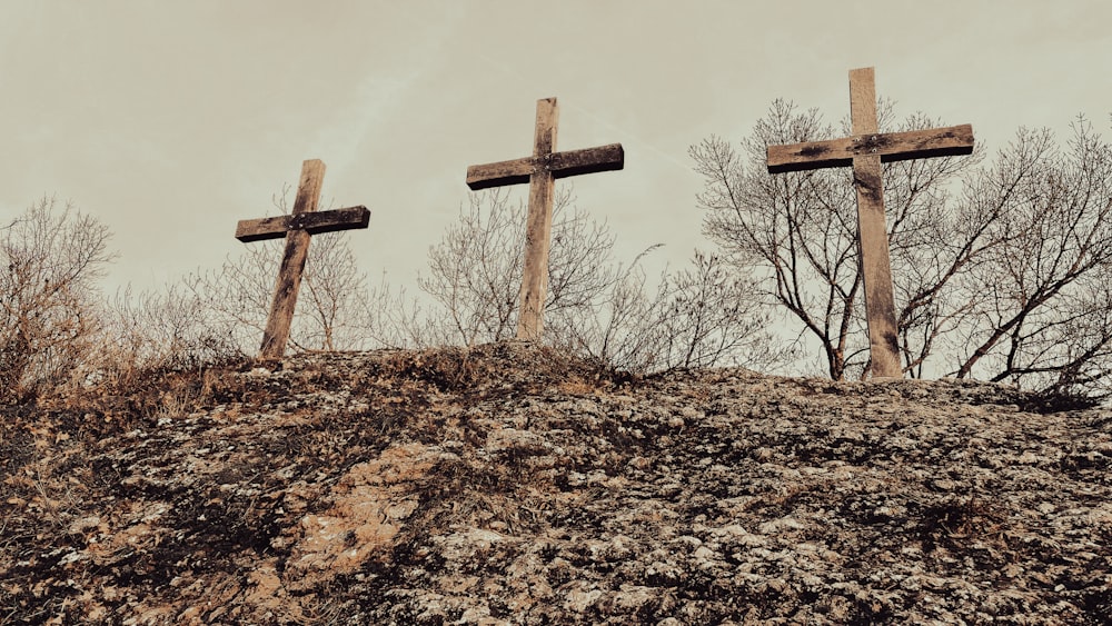 three crosses on top of a hill with trees in the background