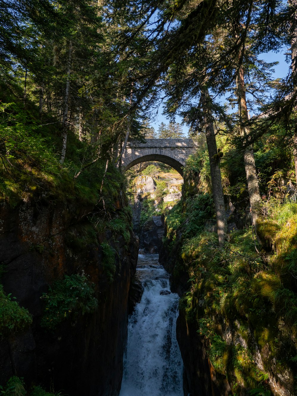 a river flowing under a bridge surrounded by trees