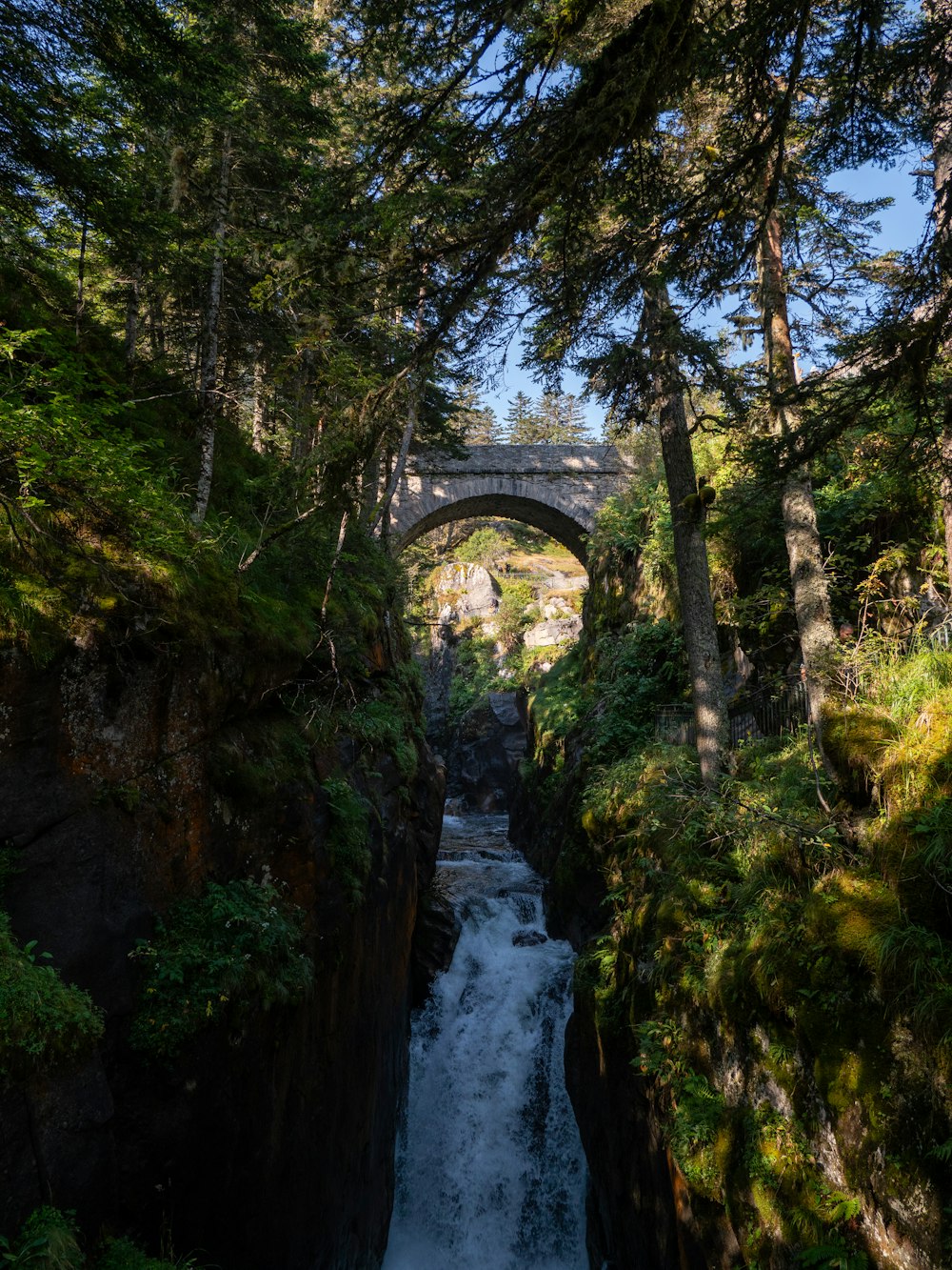 une rivière coulant sous un pont entouré d’arbres