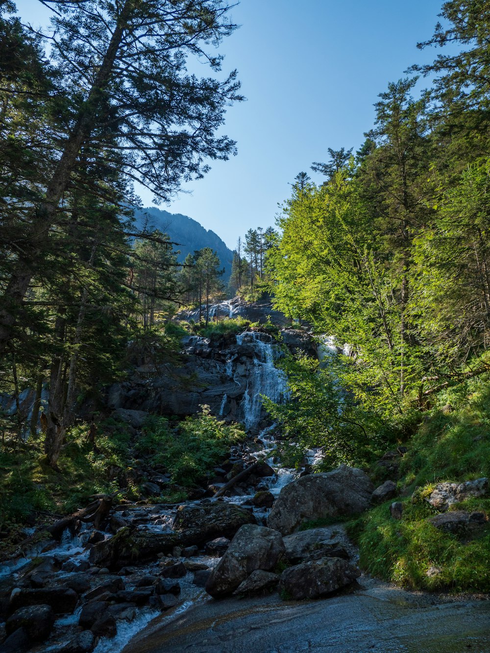 Une petite cascade au milieu d’une forêt