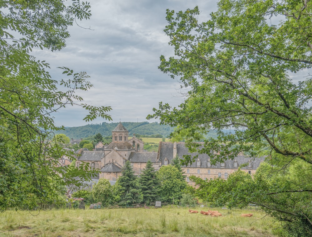 a view of a castle through some trees