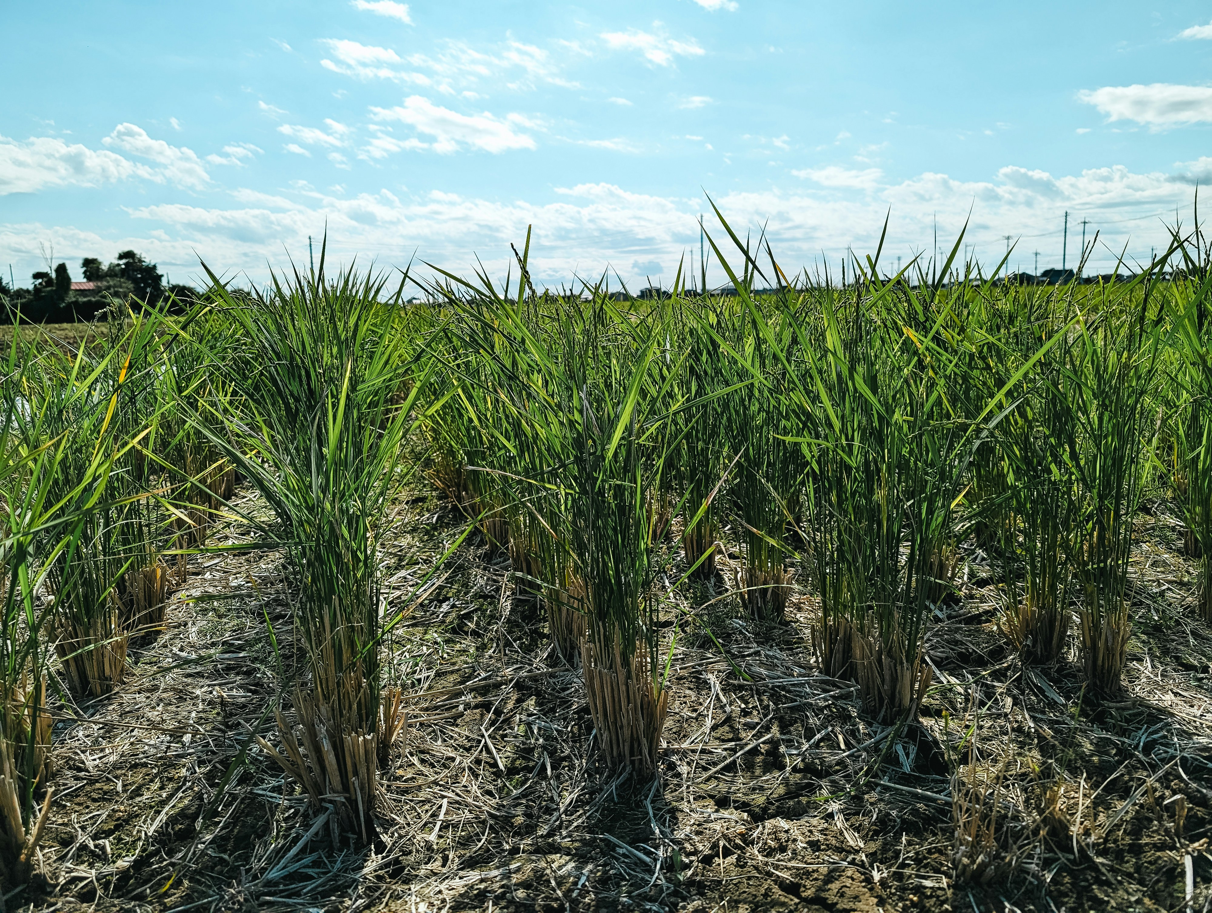 Photo by markuswinkler