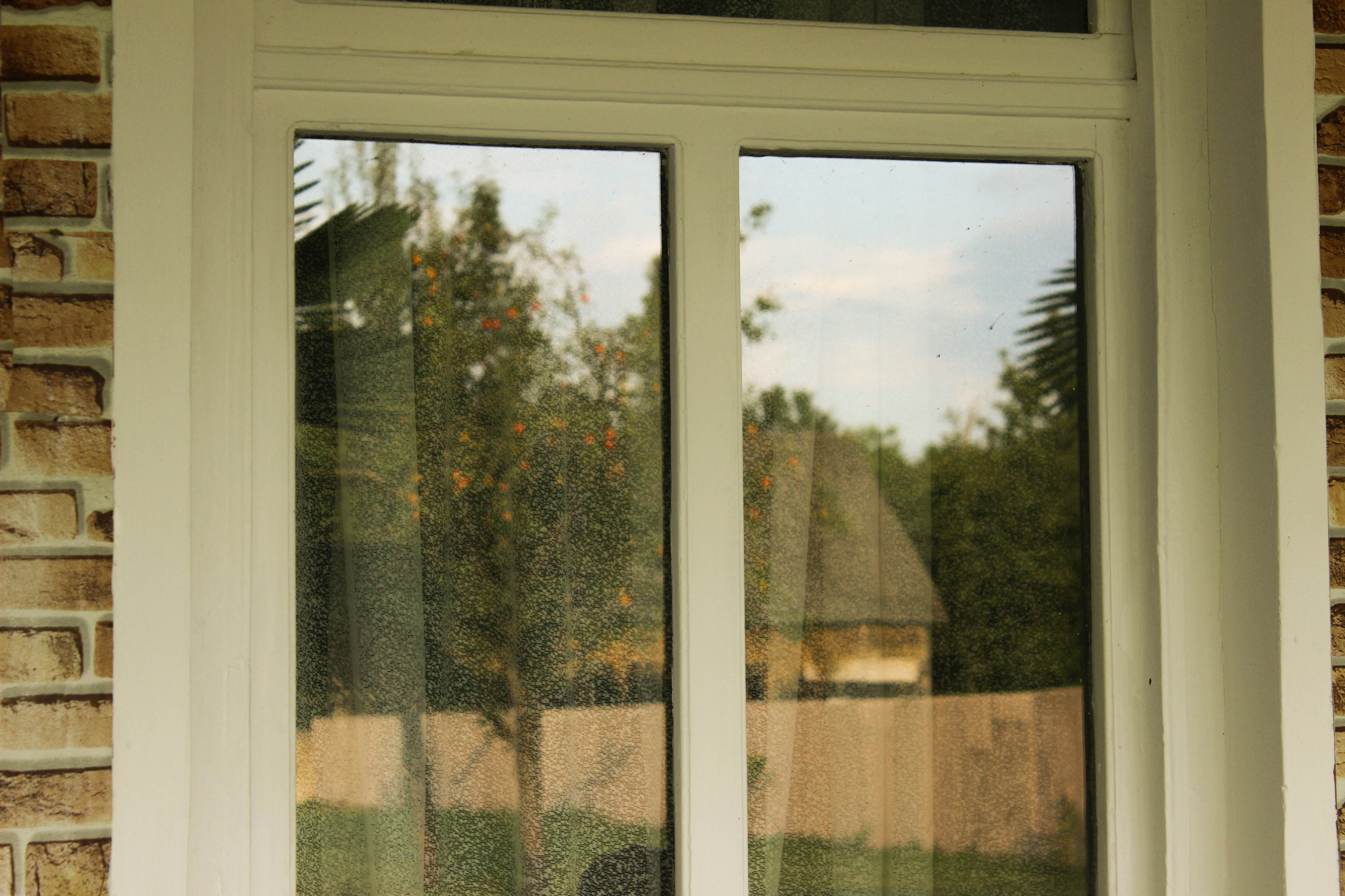 Photo by mehseticelilli