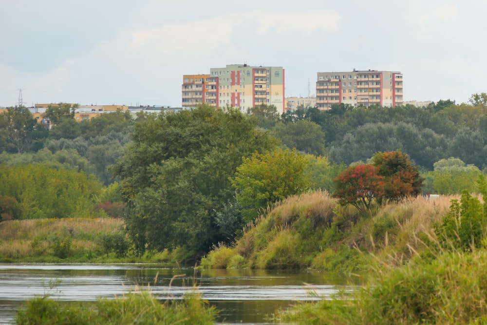 un río que corre a través de un frondoso bosque verde junto a edificios altos