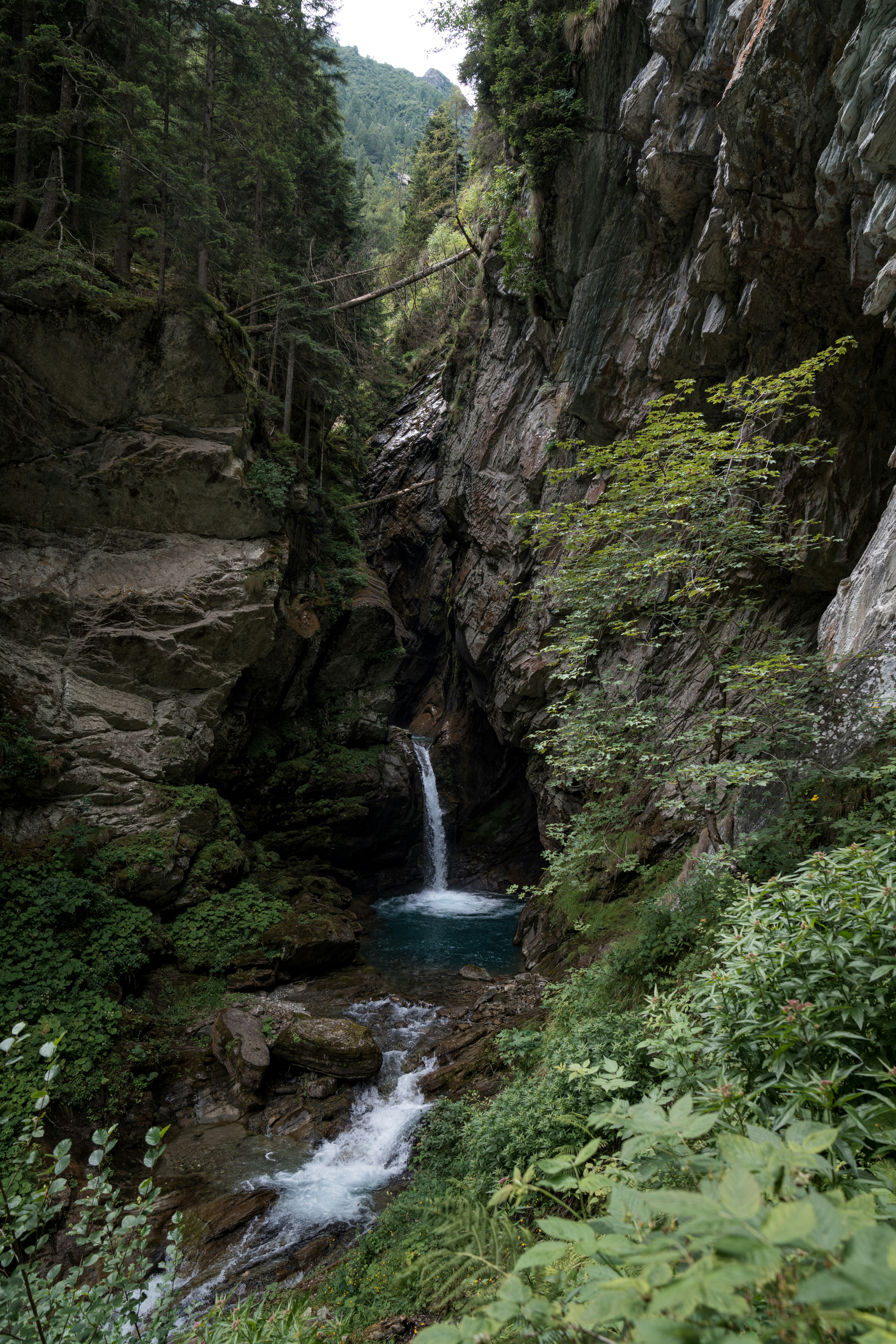 a small waterfall in the middle of a forest
