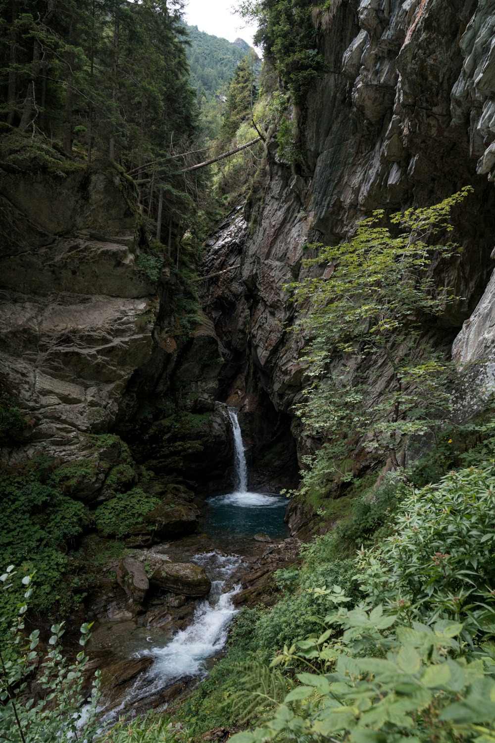 a small waterfall in the middle of a forest