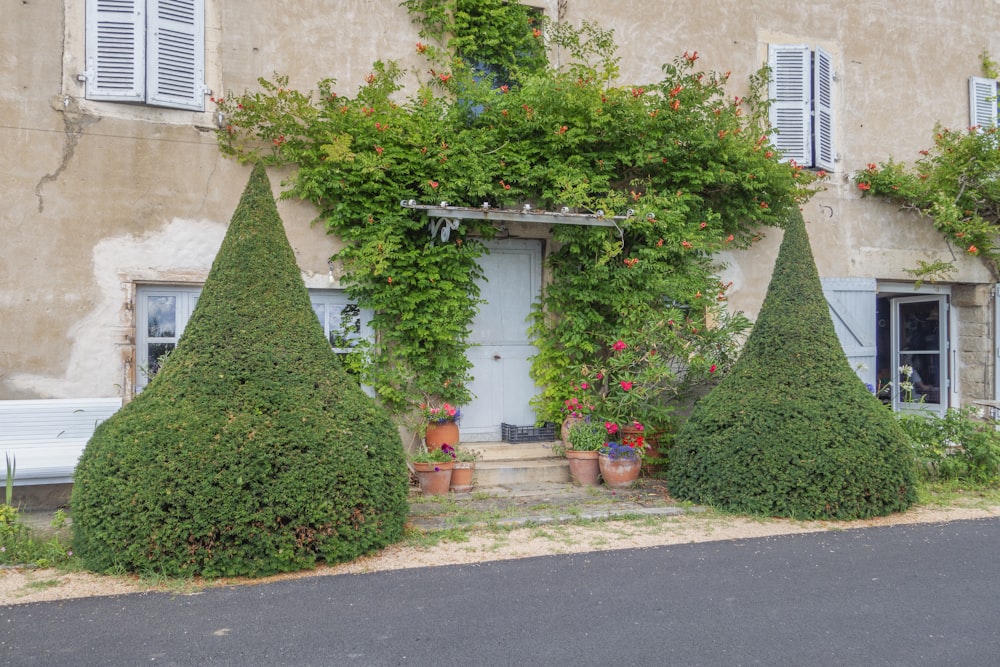 a house that has a bunch of plants on it