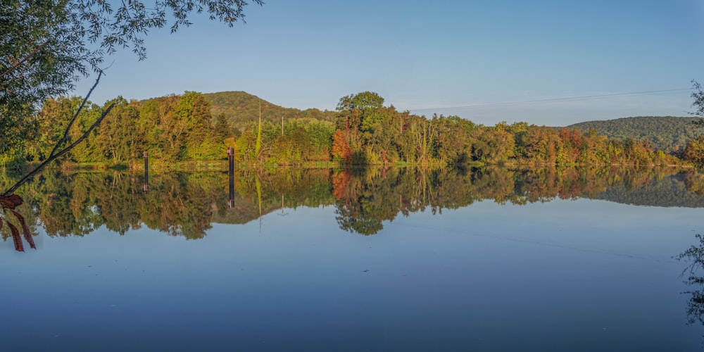 a body of water surrounded by trees and hills