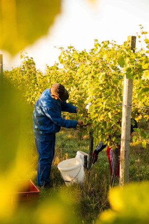 a man standing in a field next to a toilet
