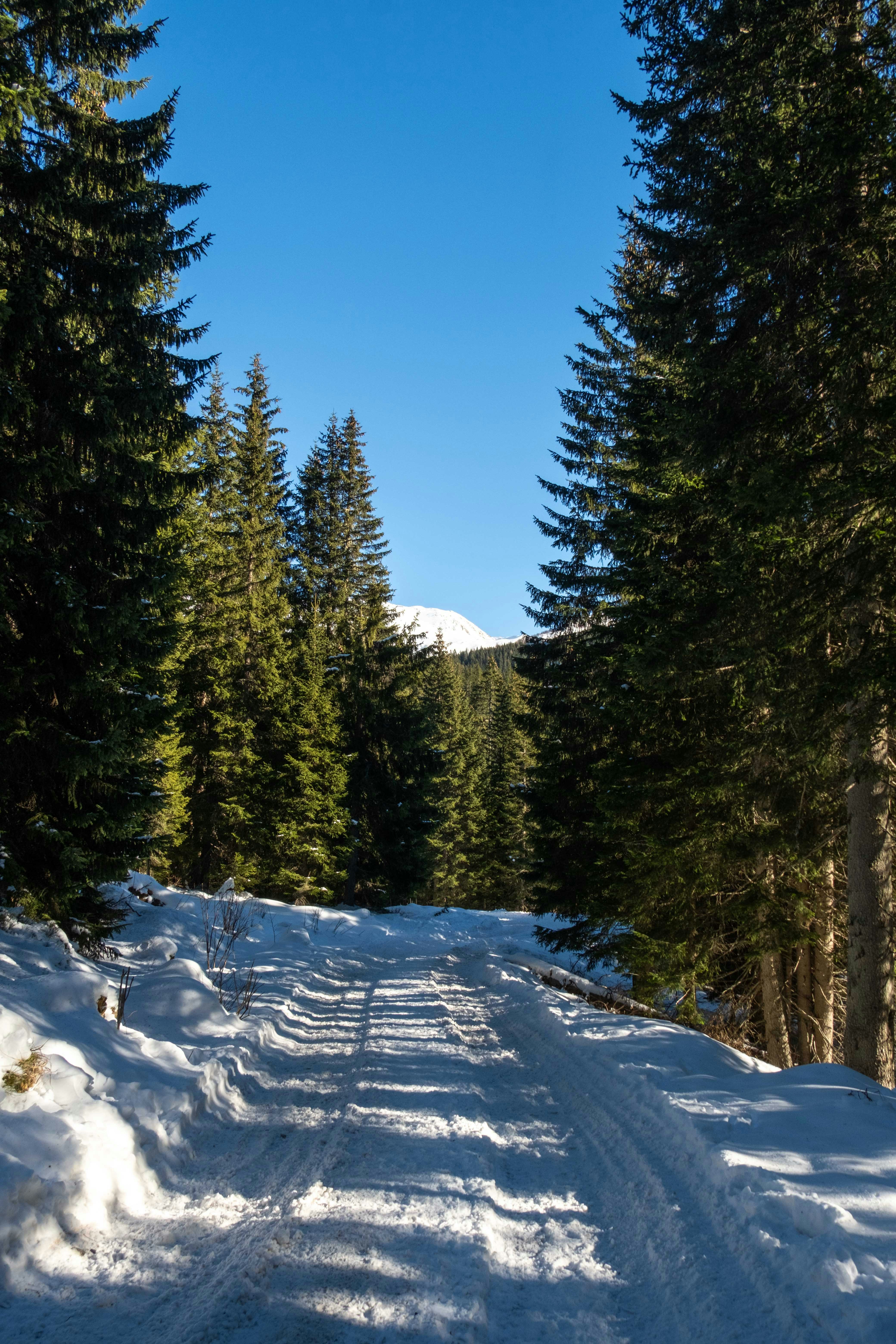 Photo by francesco_ungaro