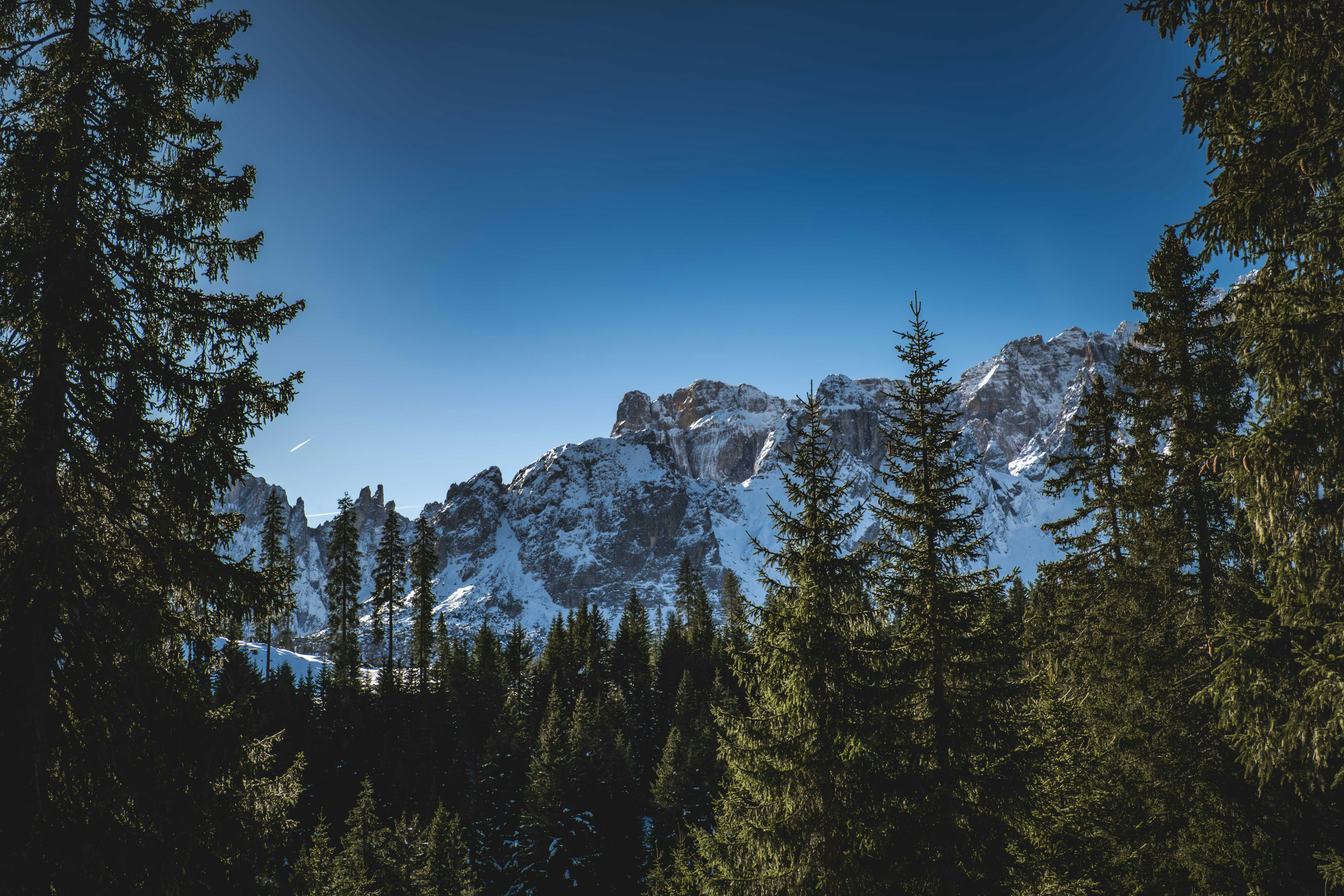 Photo by francesco_ungaro