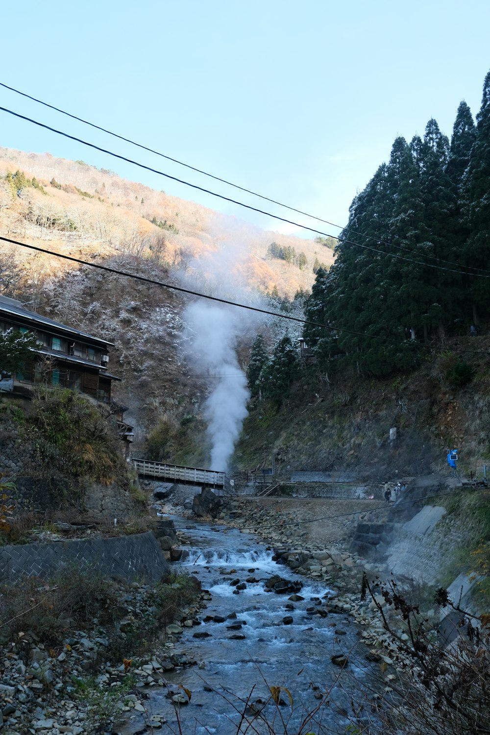 a river running through a valley next to a forest