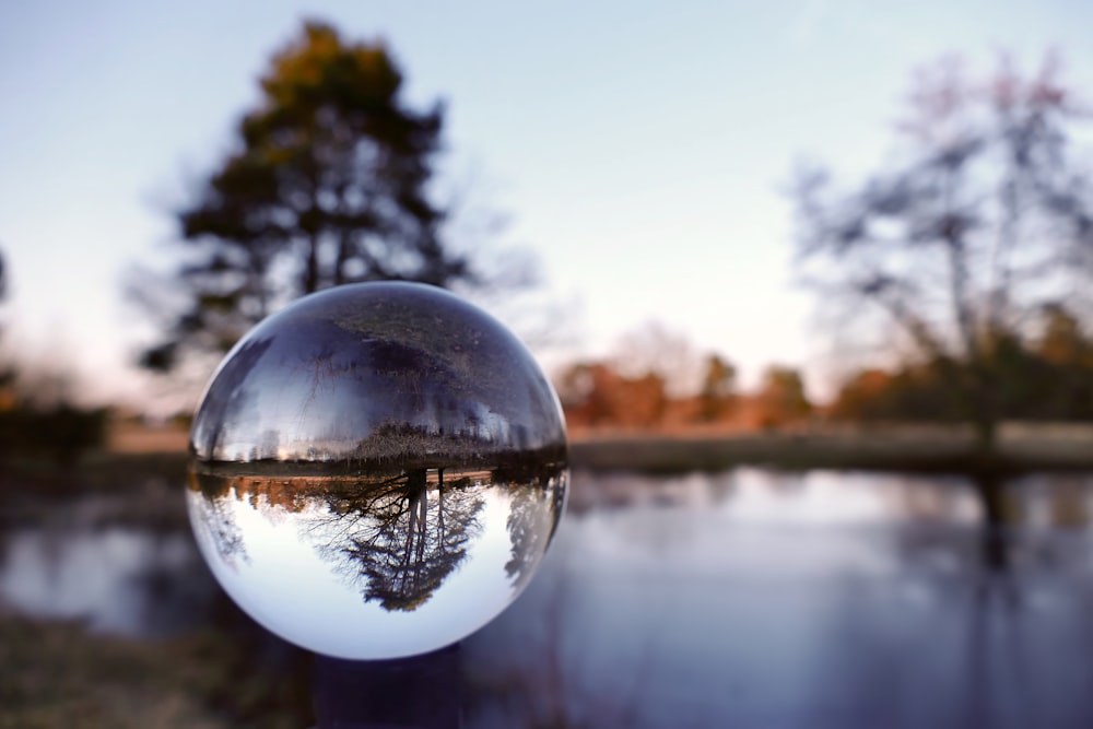 um reflexo de uma árvore em uma bola de vidro
