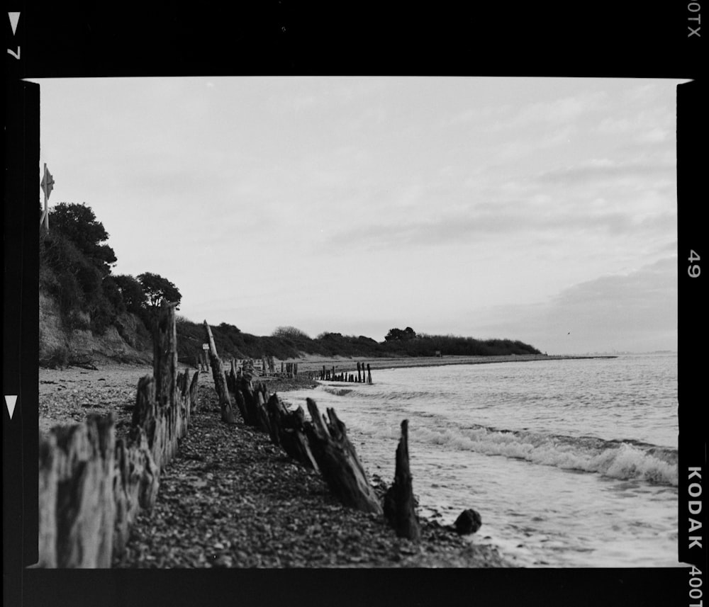 uma foto em preto e branco de uma praia