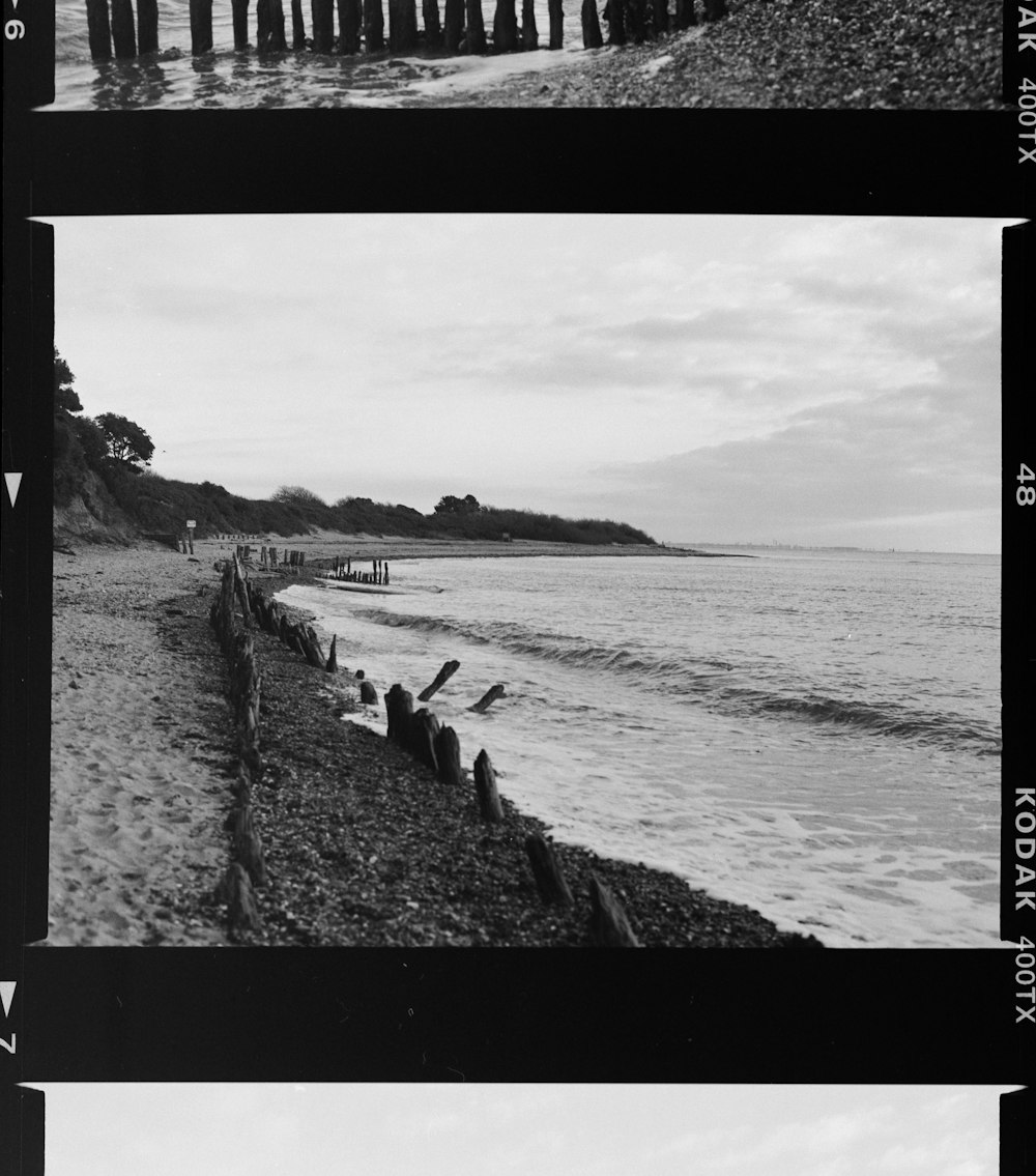 a black and white photo of a beach