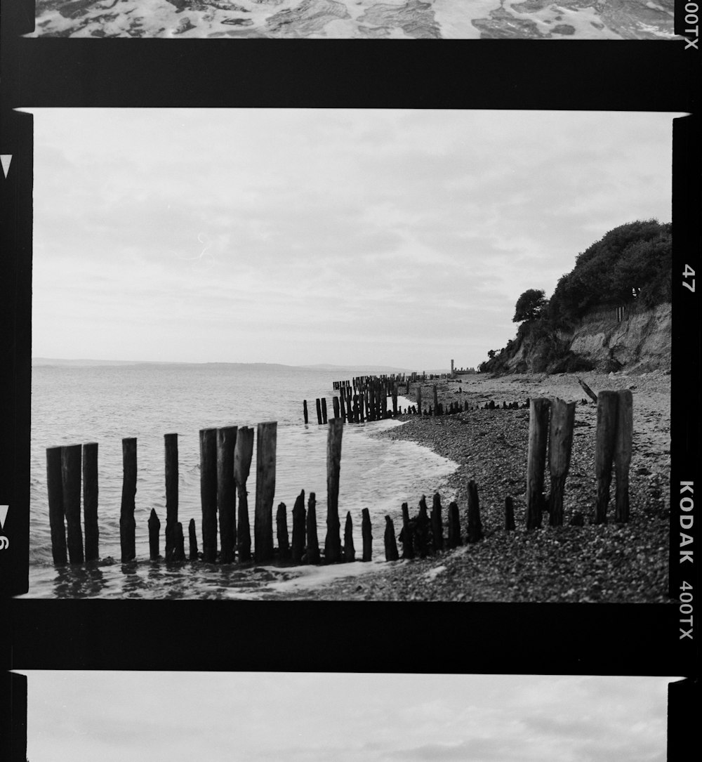 a black and white photo of a beach