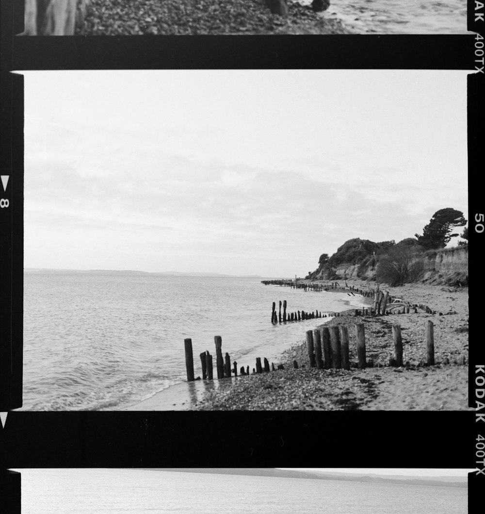 une photo en noir et blanc d’une plage