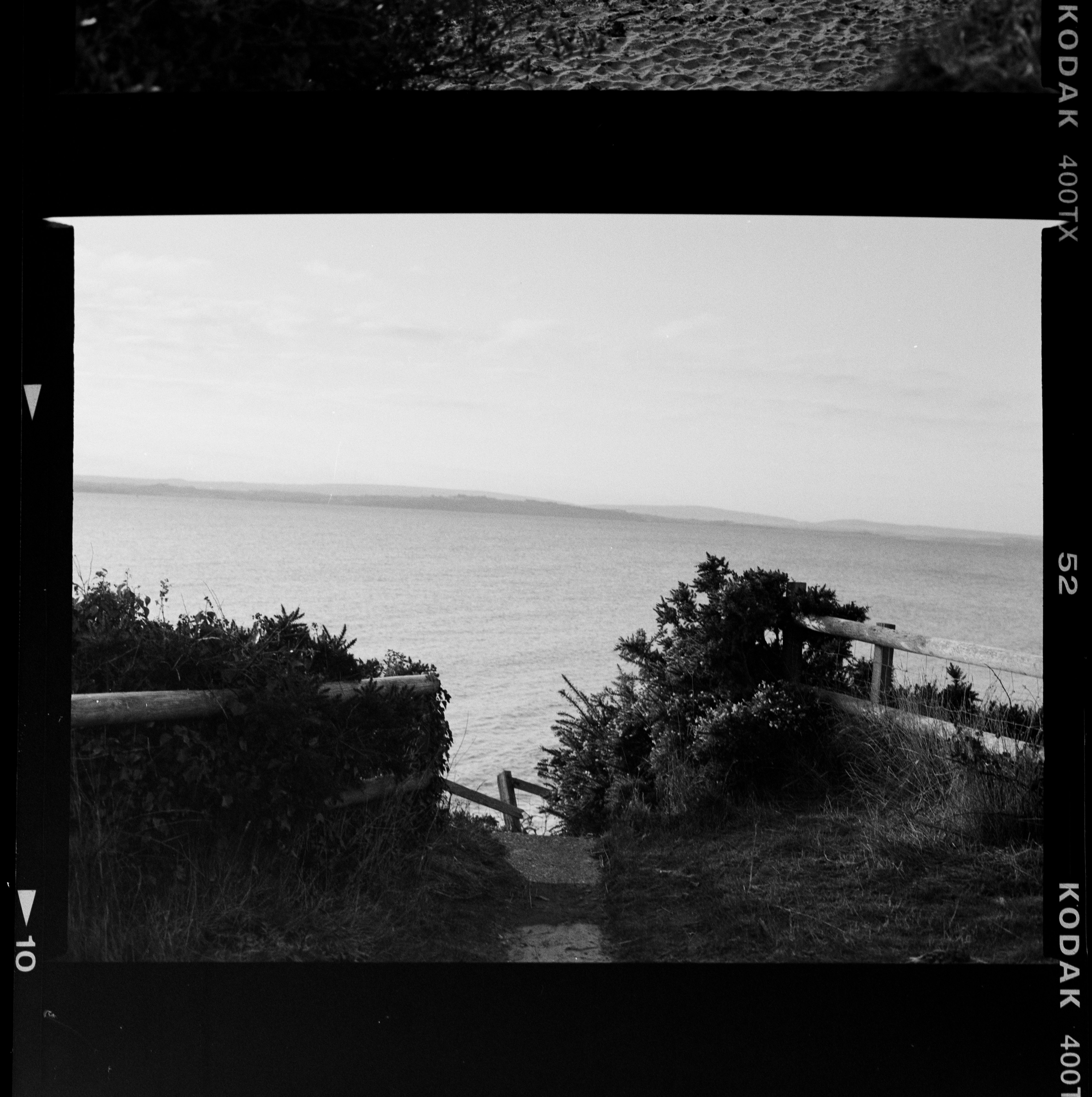 昭樹 - 因為 J 對我釋放的怒火和評論，目前我還泡在某種邏輯或生命錯誤茫然的水溝裡，整體陰濕非常。眼睛簡單快速地開闔兩下，睫毛搧動疲憊而非氣流或水霧，再被我吸進鼻腔氣管肺葉，脆生地像米粉攤上汆好堆放在格