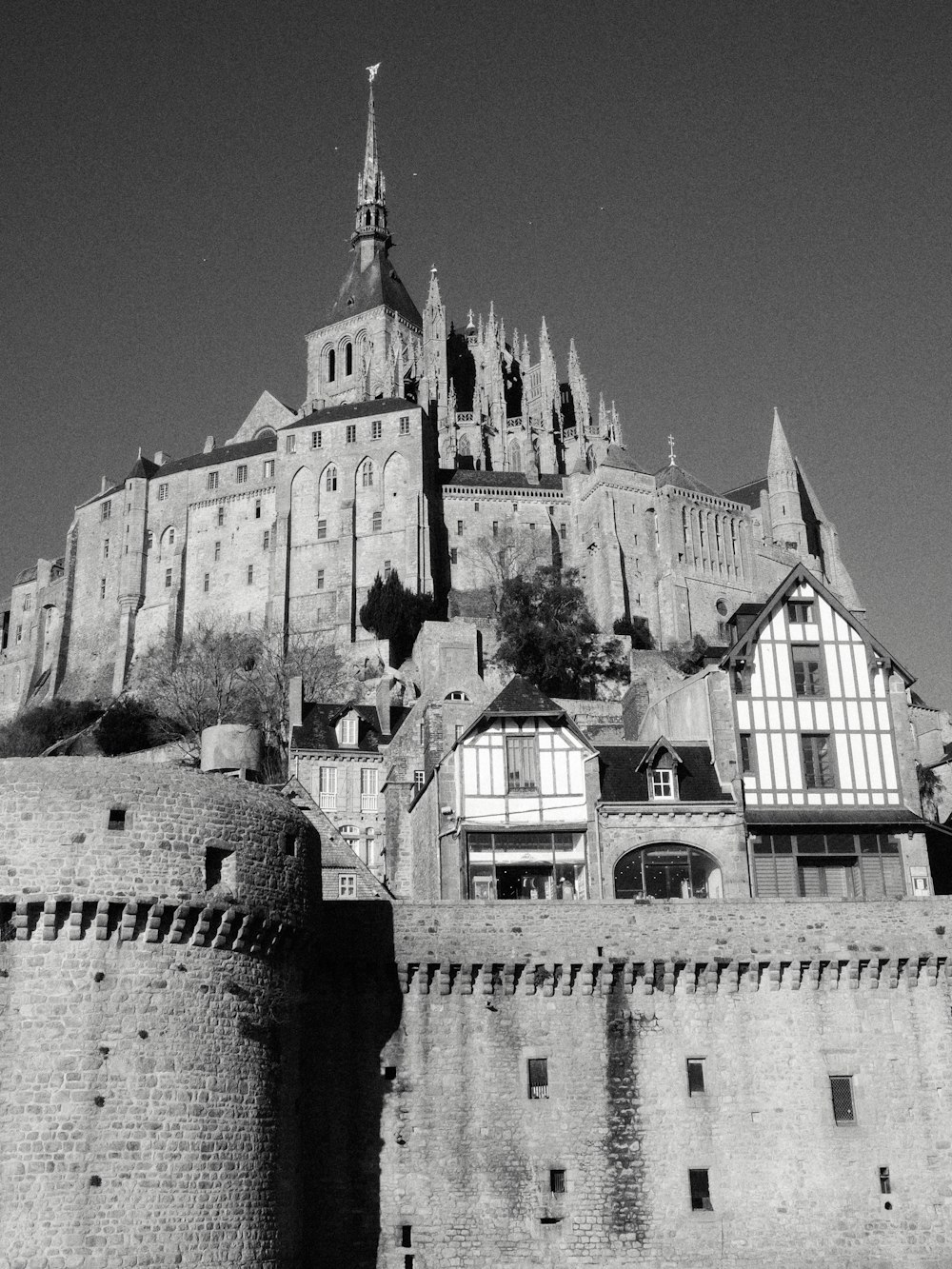 a black and white photo of a castle