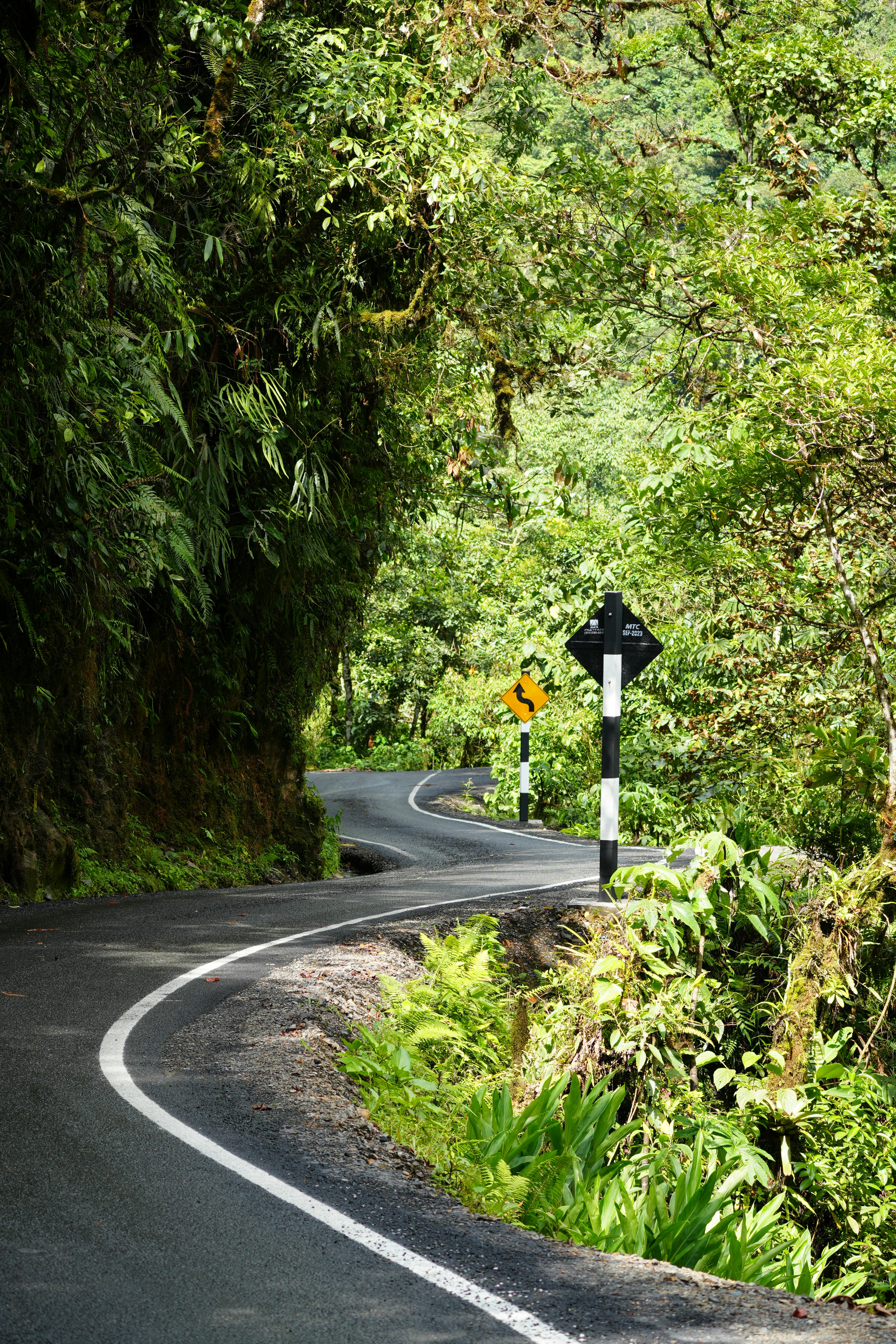 A typical rural road in Costa Rica, narrow, winding, and bordered by dense rainforest.