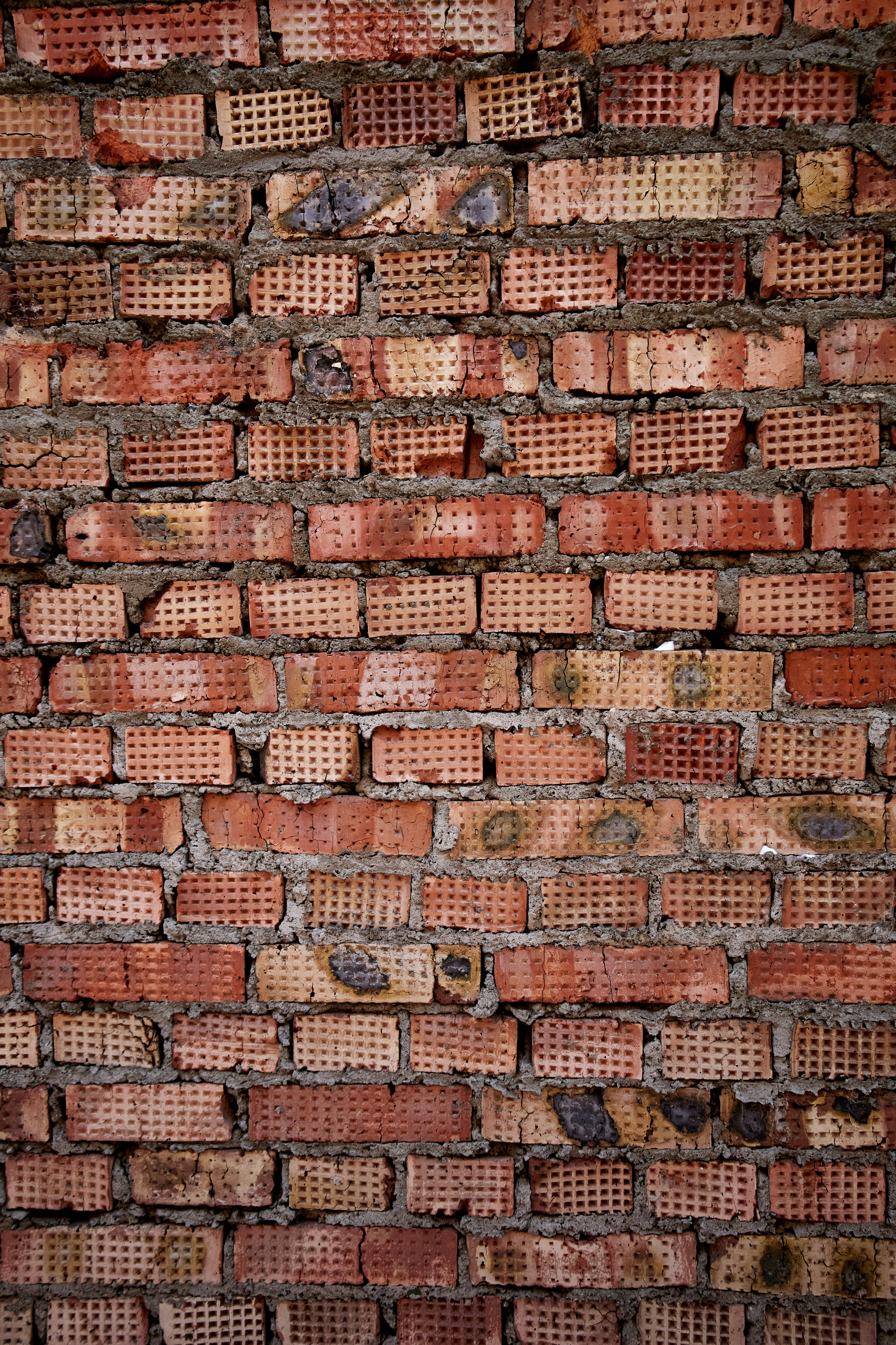 Photo by lensyfoxography