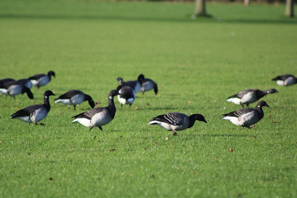 Brent Crude Above $100: Iran Talks Collapse and Vance Cancels Pakistan Trip — War Premium Is Back