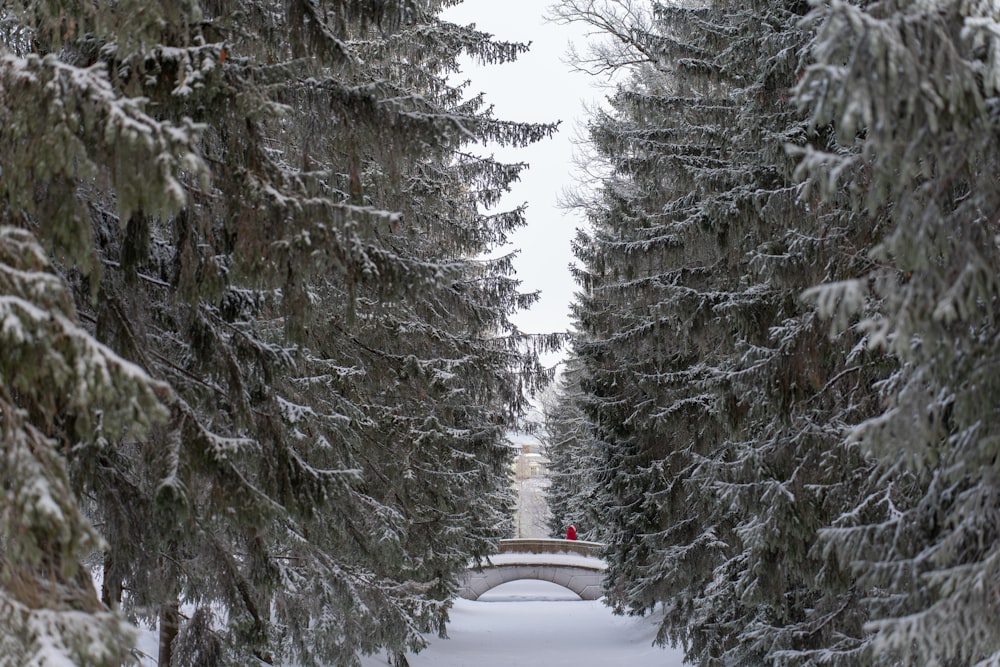 a snow covered path with trees and a bridge in the distance