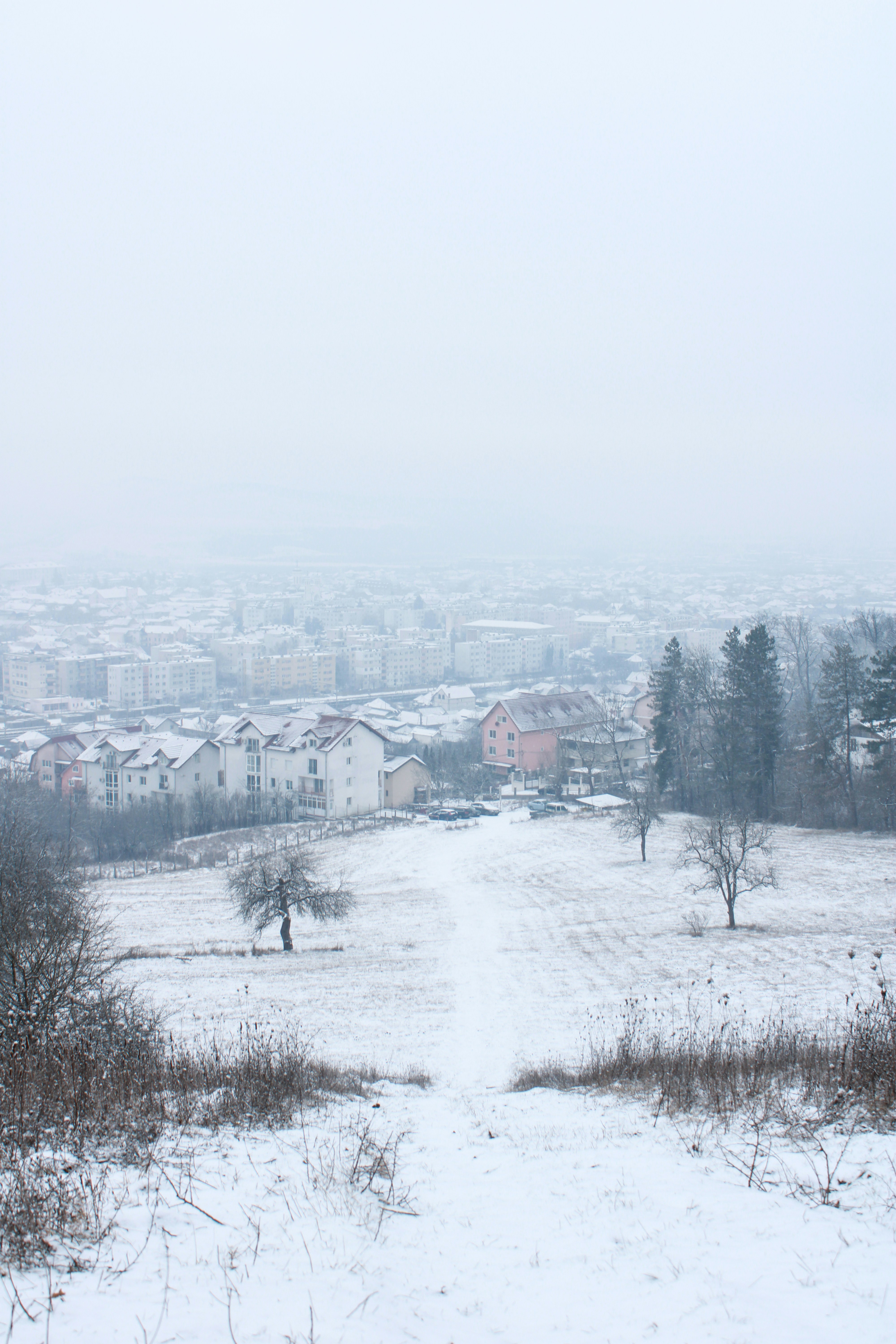 Robin Davidson, "Winter Litany"