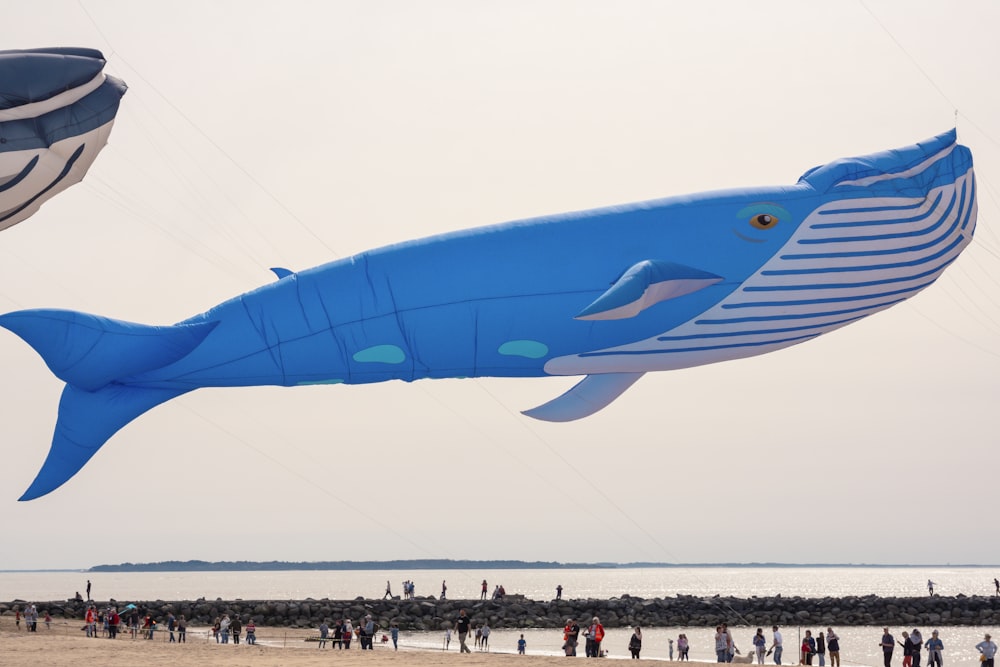 a large blue whale kite flying over a beach