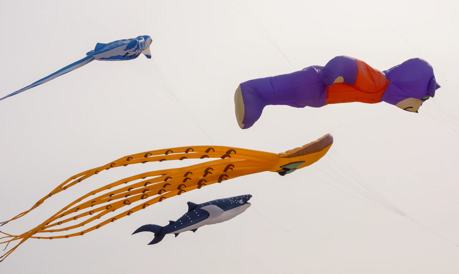 Soft whale and octopus kites with long legs floating against a pale sky