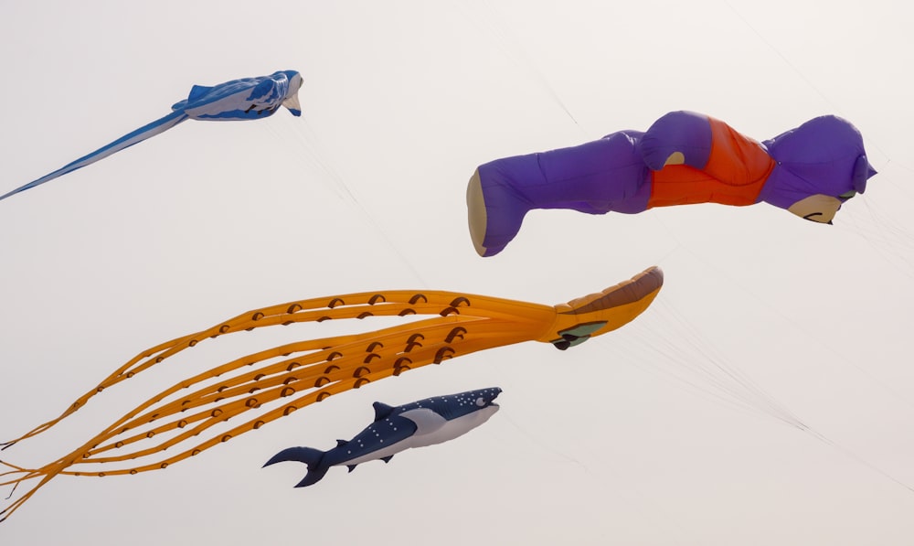 a group of kites flying in the sky