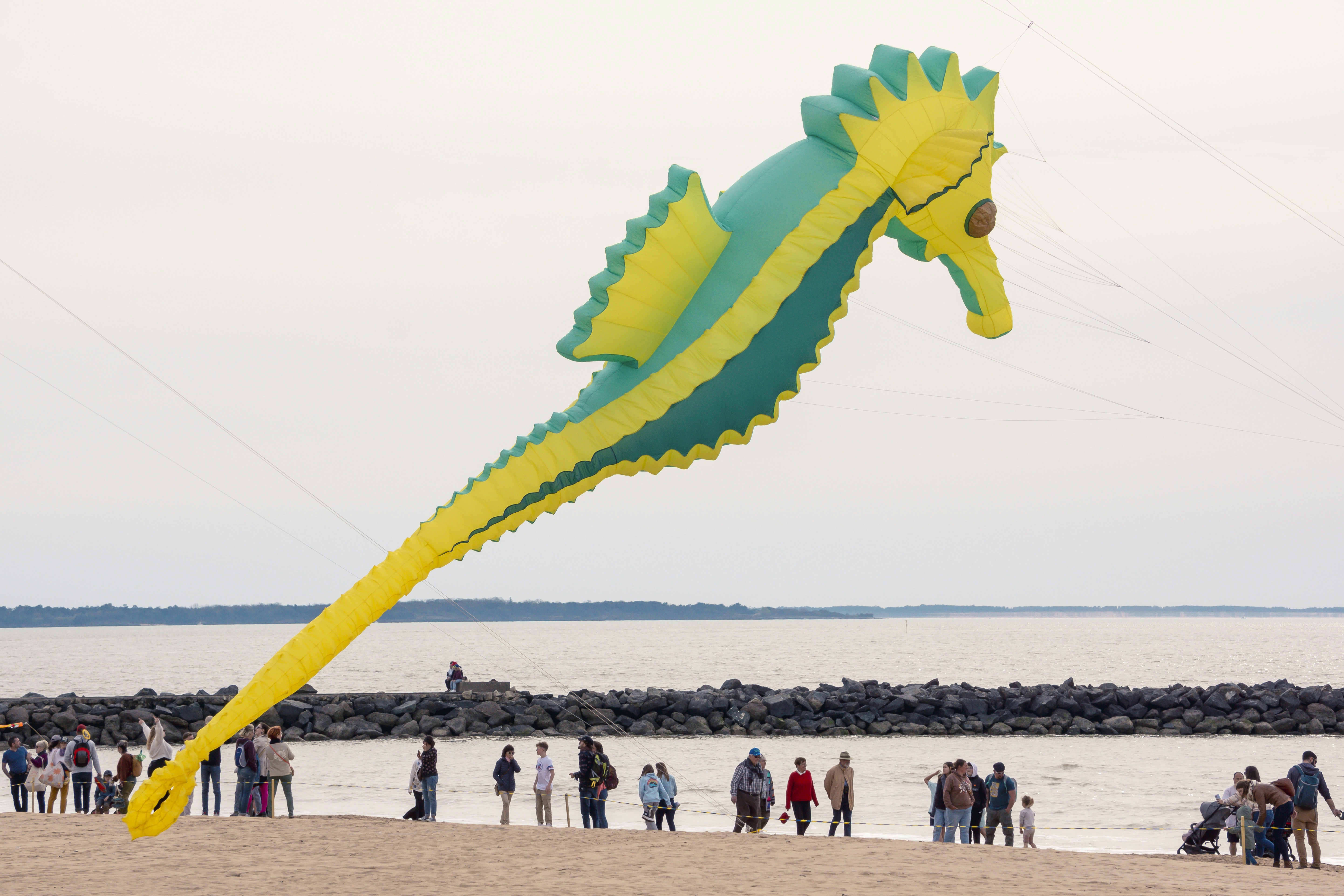 Картинка, врърху която се рисува