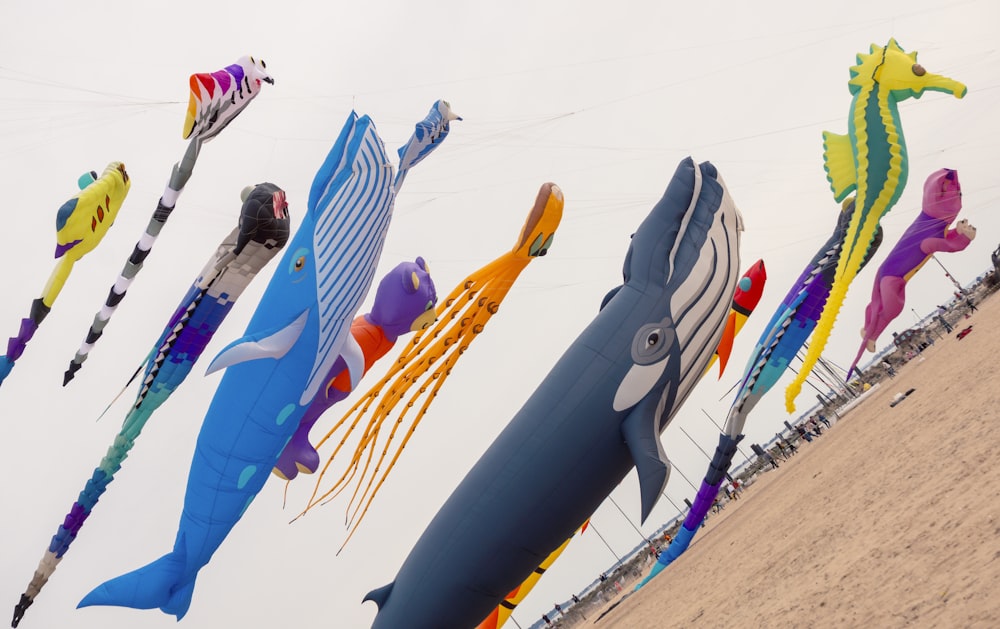 a bunch of kites that are flying in the air