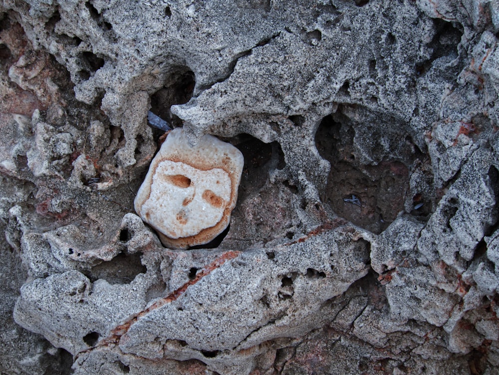 a rock with a piece of a face on it