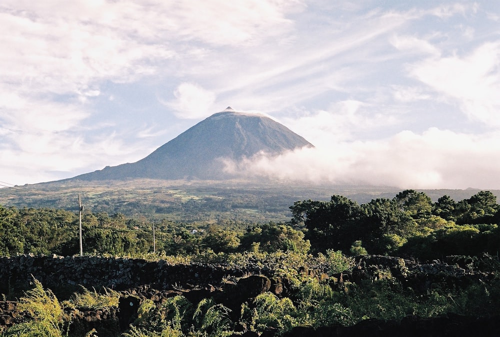 a view of a mountain in the distance