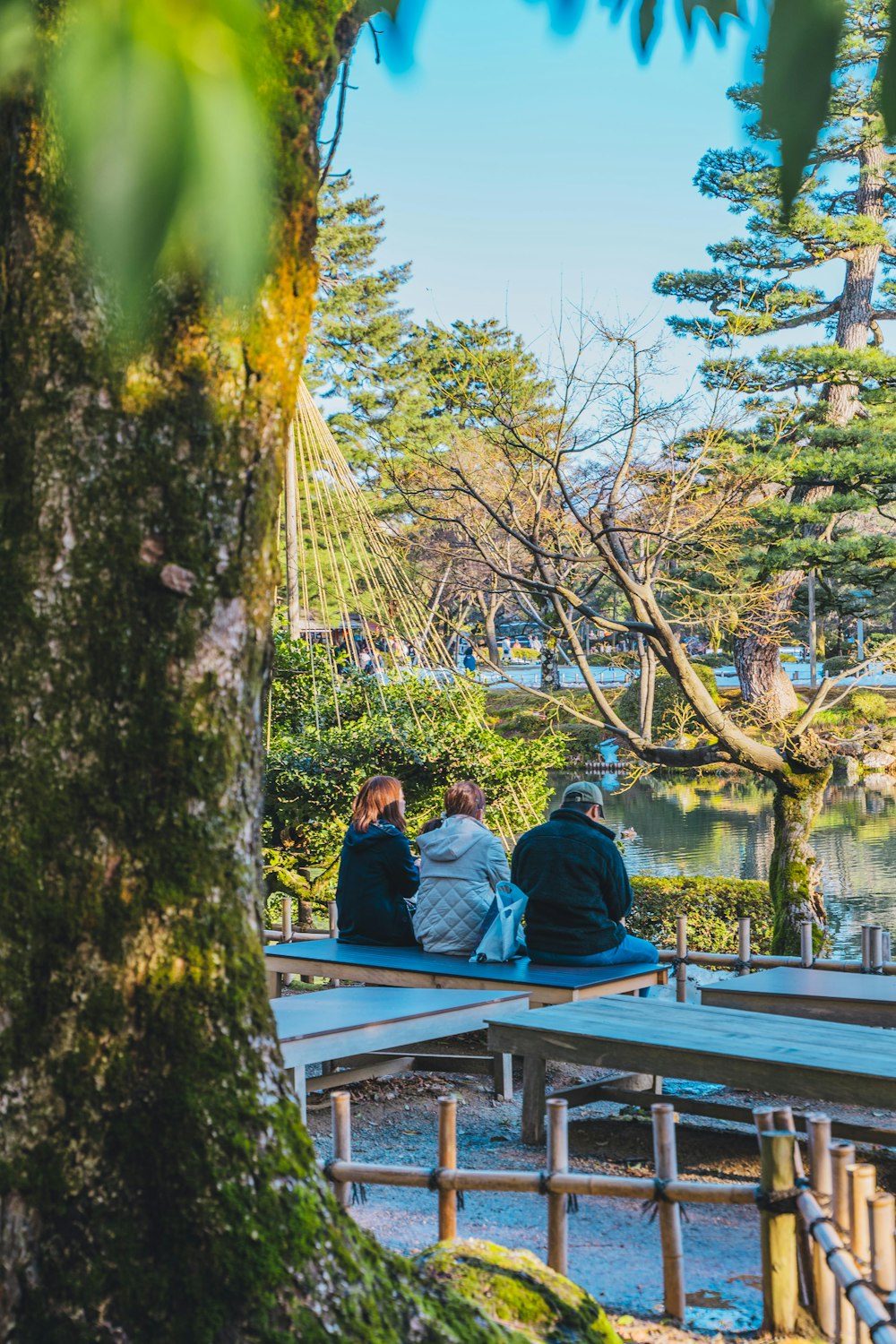 a group of people sitting on a bench next to a tree