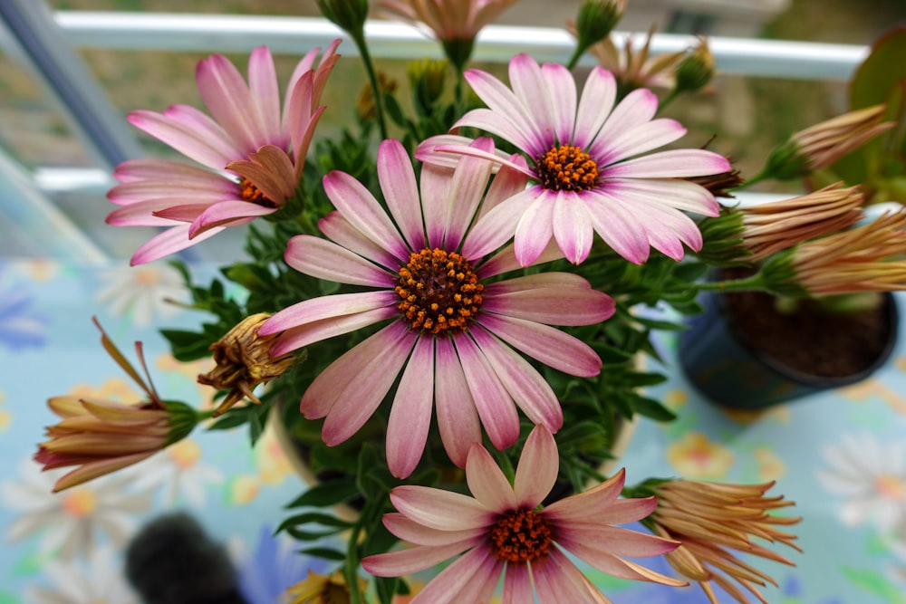 eine Vase gefüllt mit rosa Blumen auf einem Tisch