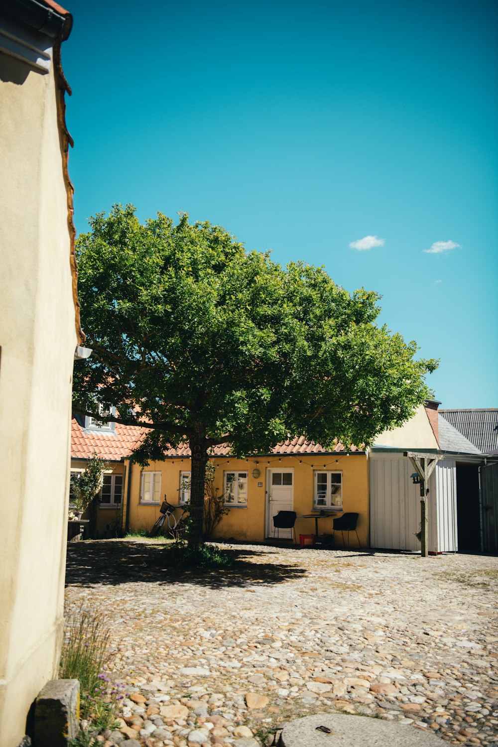 a yellow building with a tree in front of it