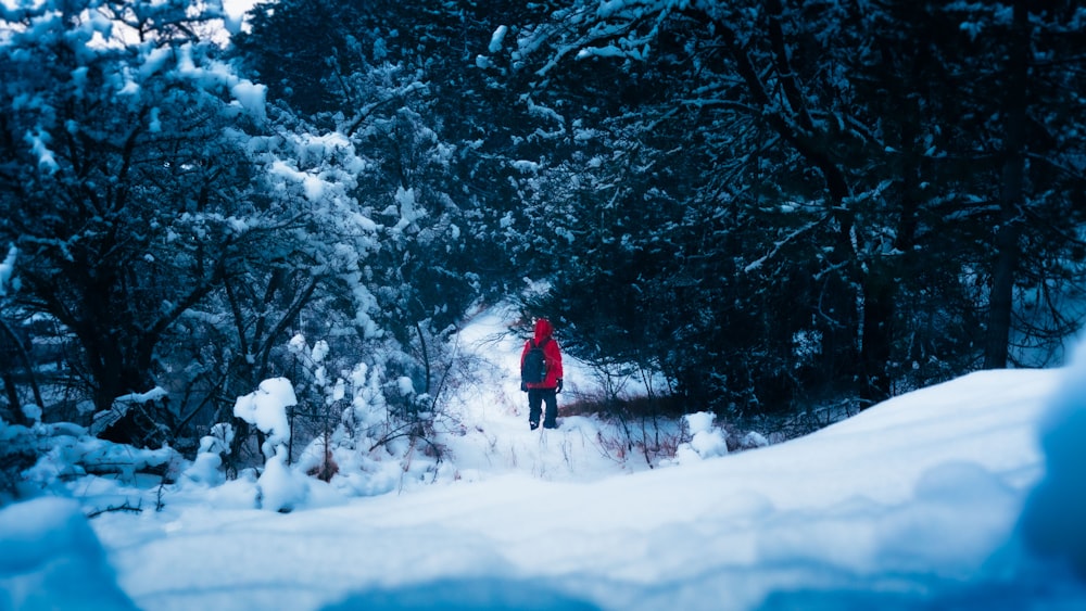 a person in a red jacket is walking through the snow