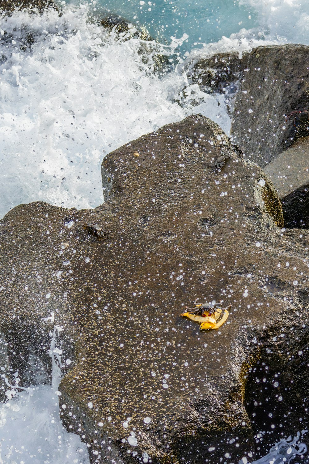 a banana sitting on top of a rock next to a body of water