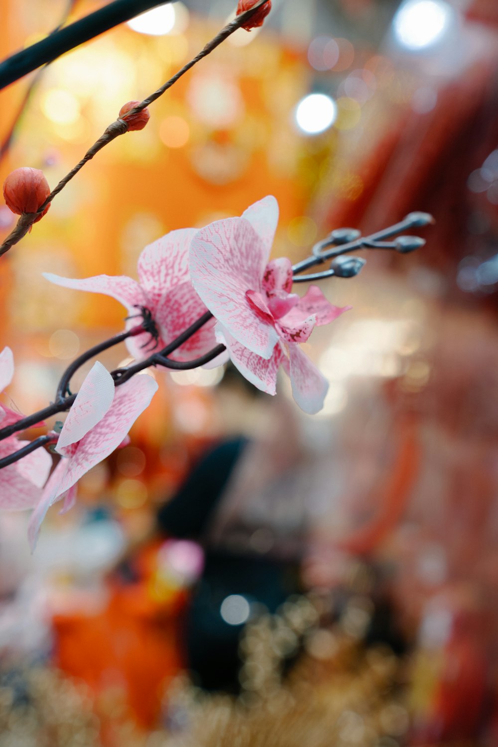 a close up of a branch with flowers on it