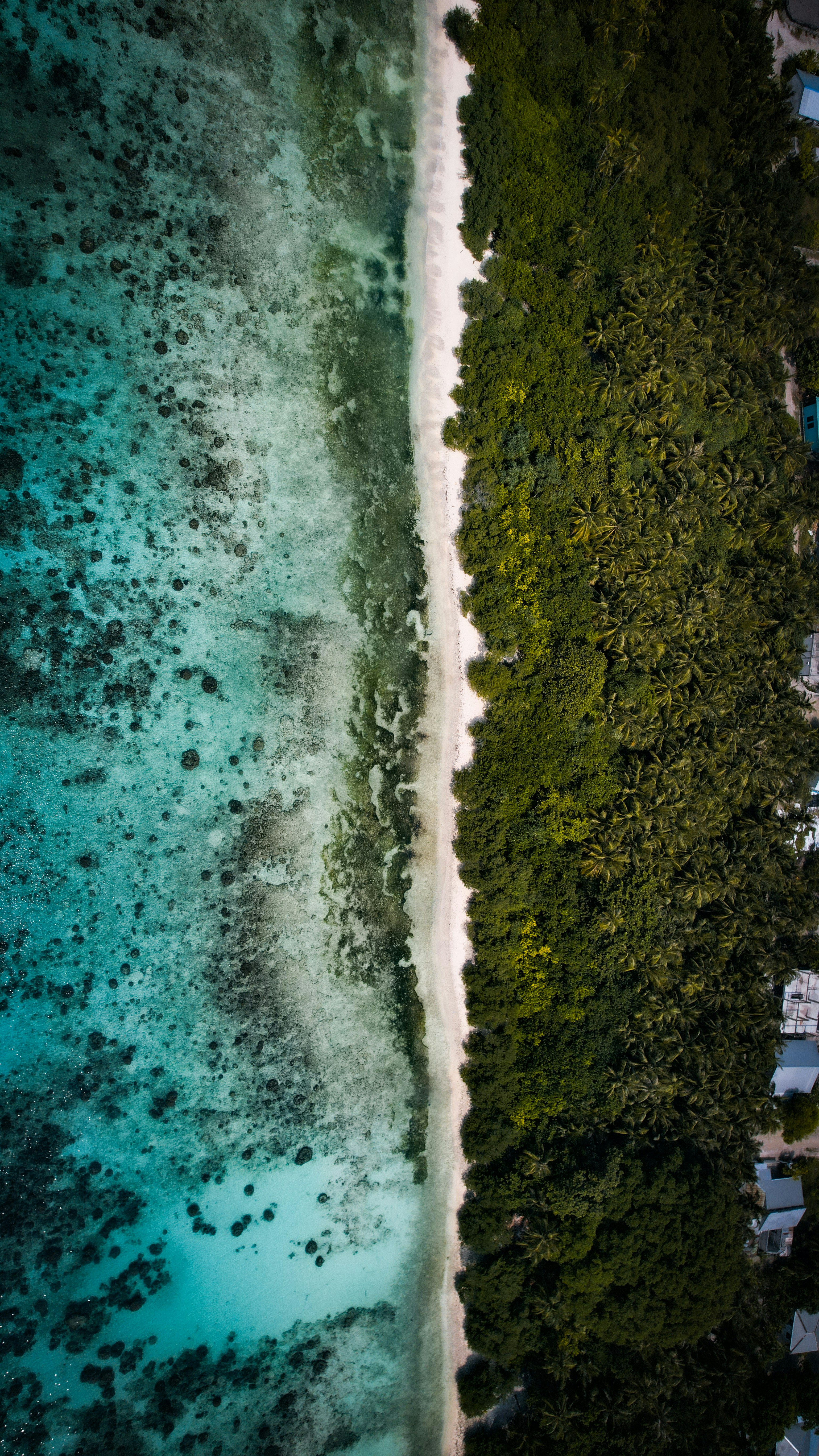 Photo by nashiuphotos