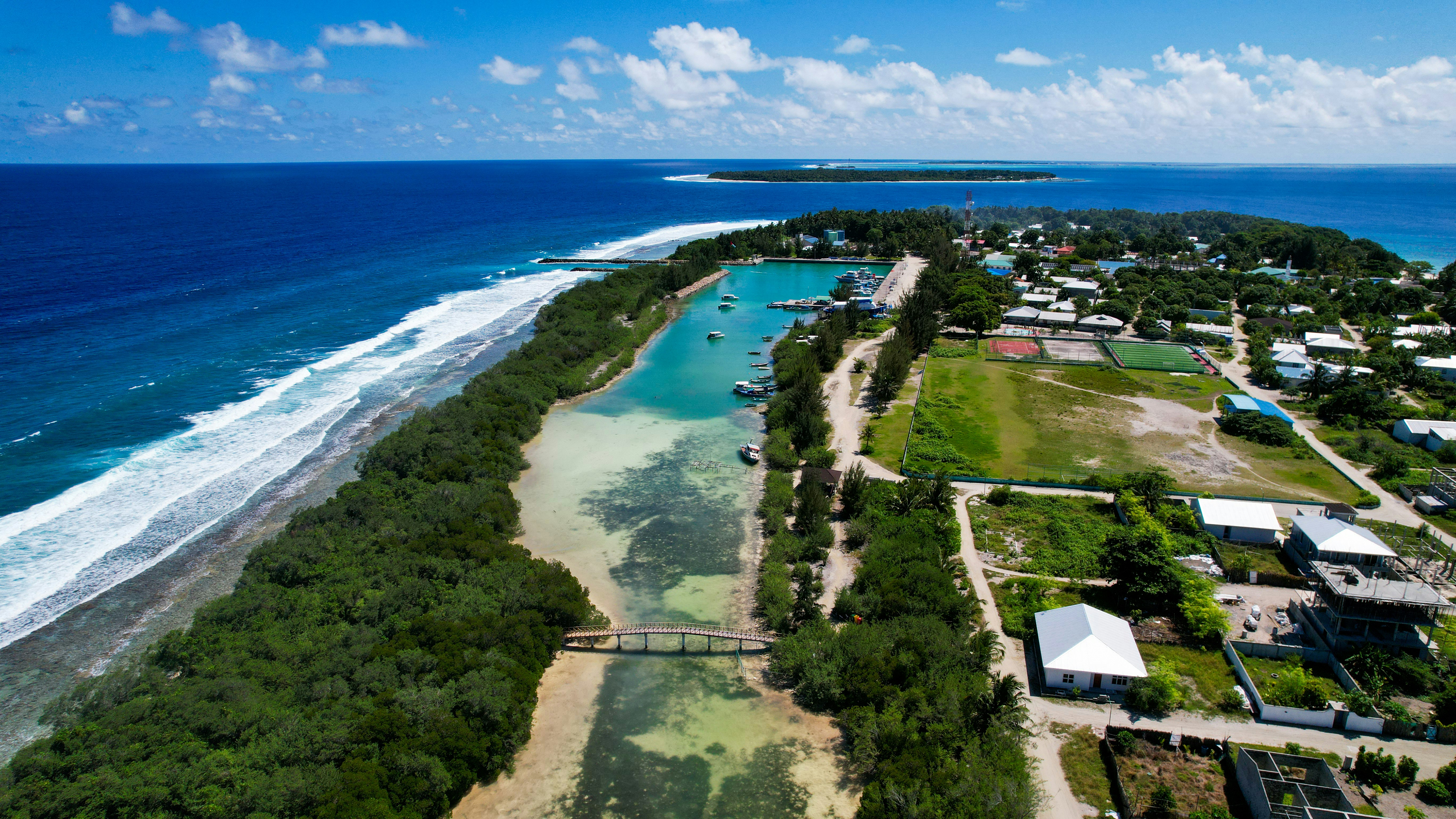 Photo by nashiuphotos