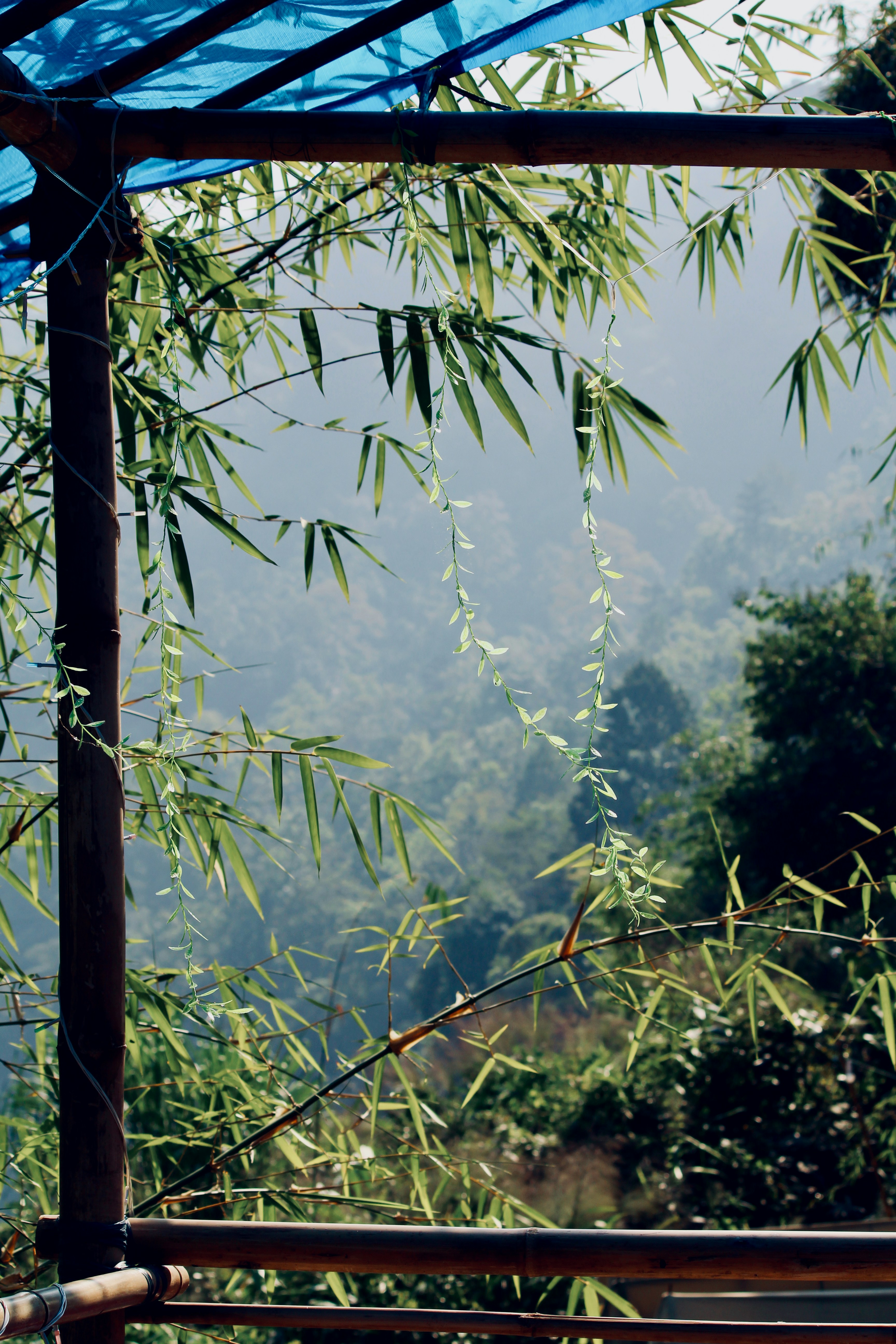 Photo by vishwasnavadak