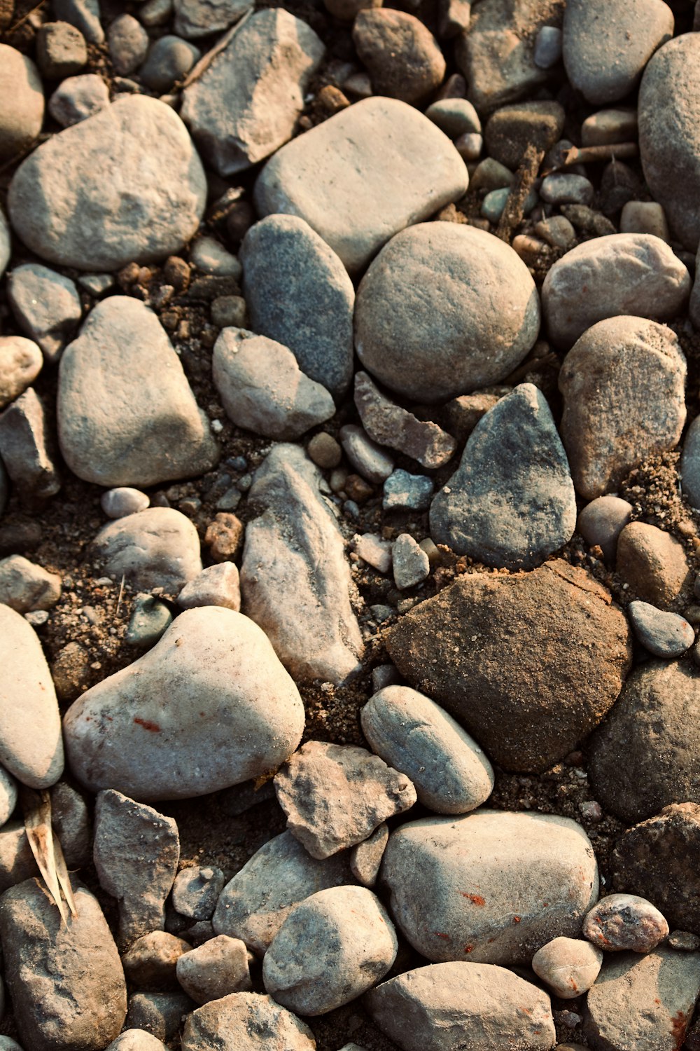 a bunch of rocks that are laying on the ground