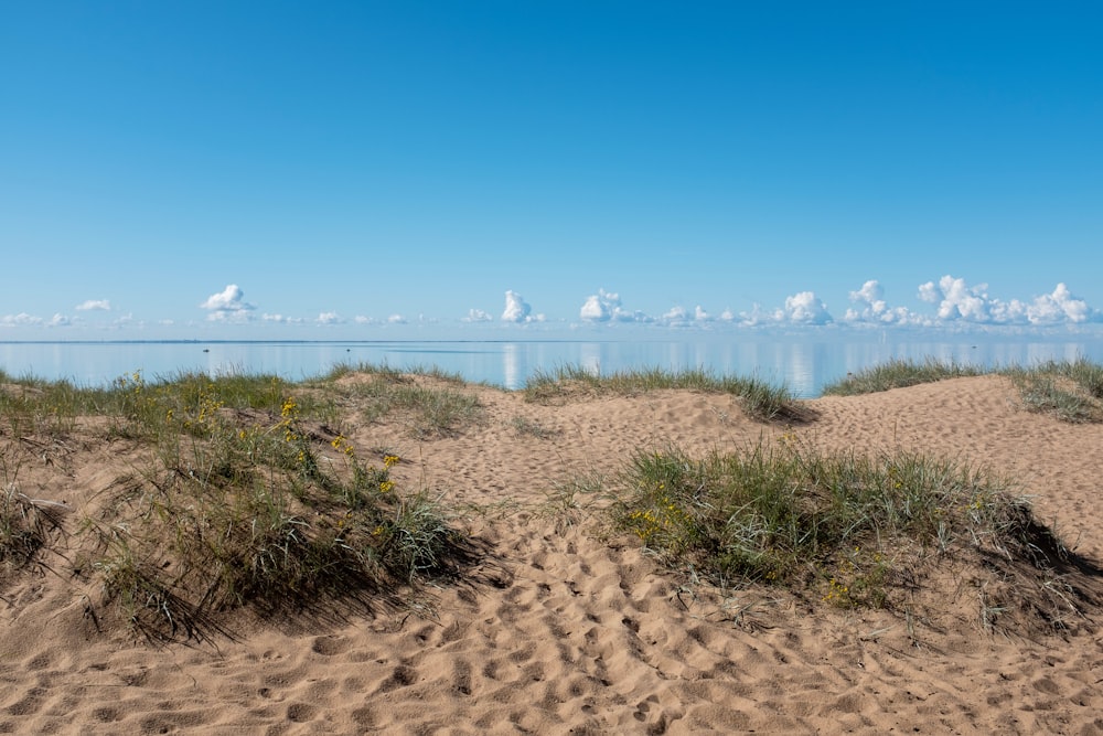 a sandy beach with a body of water in the background