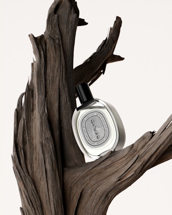 a white and black clock sitting on top of a tree branch